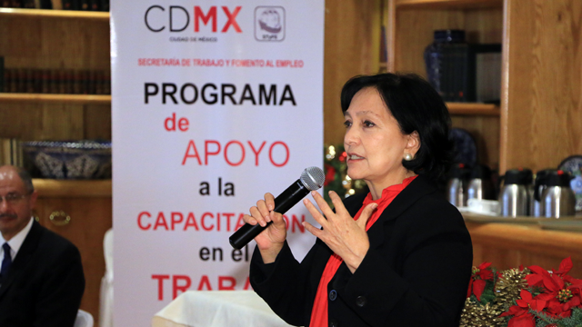 FOTO_AMALIA_GARCIA_MEDINA_Capacitacion en el trabajo_07122017_PORTADA_02_.bmp