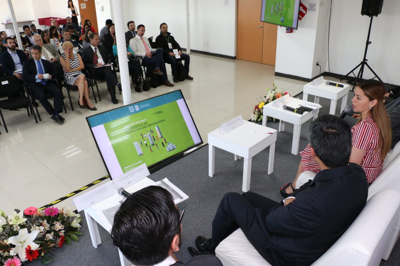 diagnóstico_de_competencias_demandadas-styfe-12042019- 7.jpeg