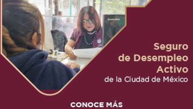 Programa Social Seguro de Desempleo