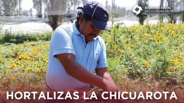 Cooperativa Hortalizas La Chicuarota