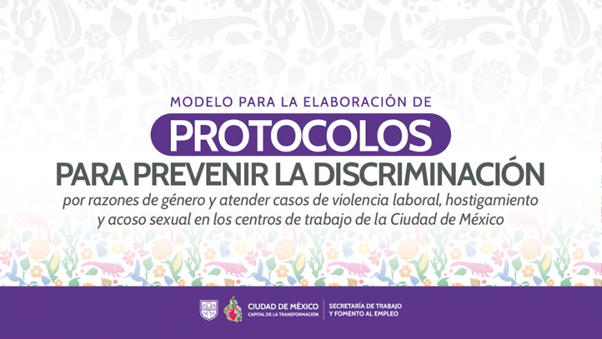 Modelo para la elaboración de protocolos para prevenir la discriminación y violencia laboral